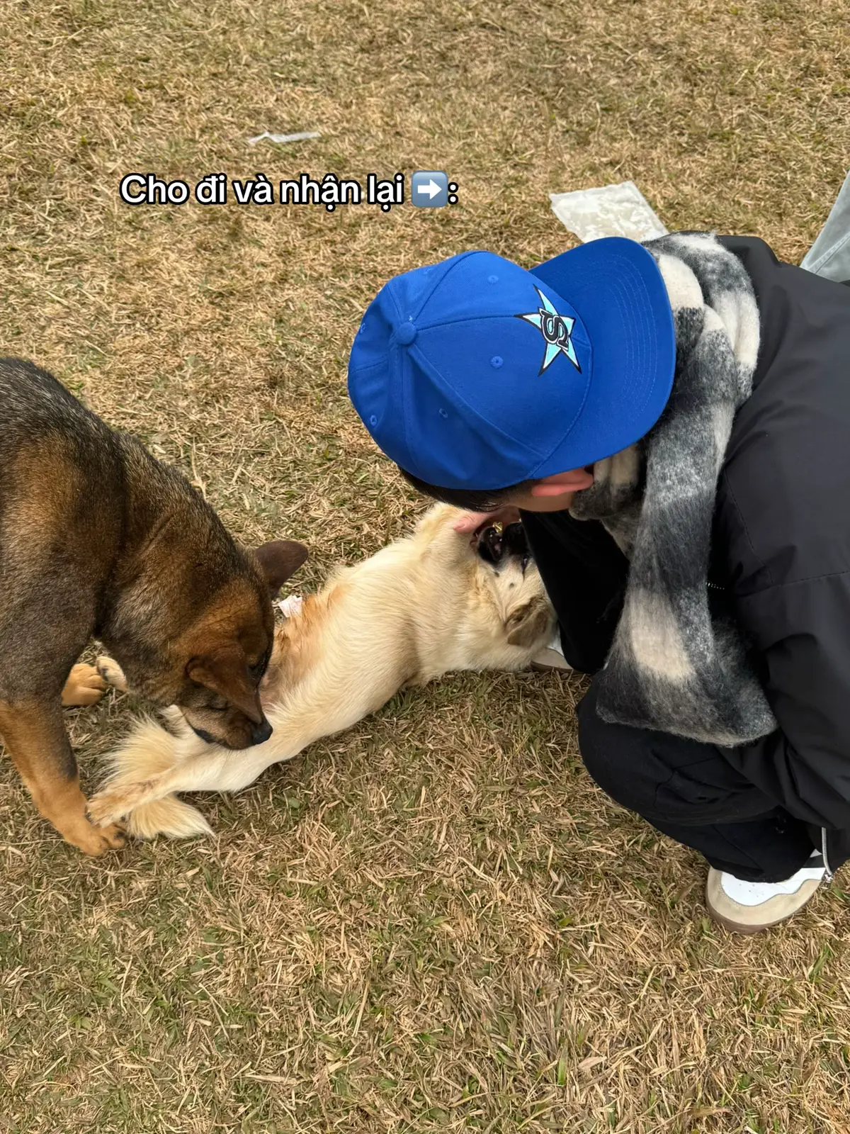 #tongtai #xh #xuhuong #dog #tongtaibadao 