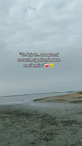 Como dejar ir a la persona que mas amas? #escaleraalcielo #viral #parati #fyp #foryou 