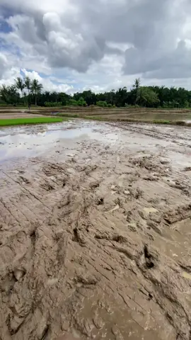 Oh tuhan#fyp #fyppppppppppppppppppppppp 