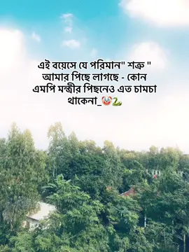 Sobai beshi beshi kore copy link kore dio 😊🤌🏻 #foryou #millionviews ##unfrezzmyaccount #tiktok?bangladesh🇧🇩🇧🇩🇧🇩 #viewsvedio1m 