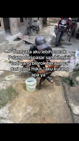 #fyp #hobbyayam #bangkokclasik #ayambangkokindinesia #beranda 