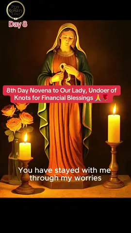 Eight Day Novena to Our Lady, Undoer of Knots for Financial Blessings #fypシ #onerosaryaday #trending #ourladyundoerofknots #novena 
