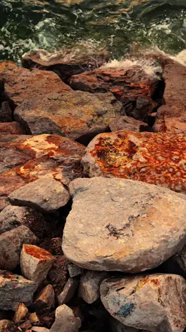 Titip pesan’mu disini >>