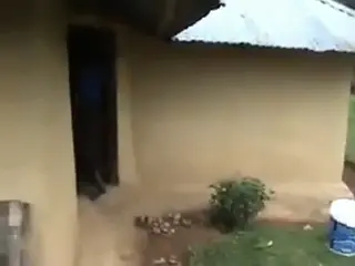 Fine fine #trendingnow #fyppppppppppppppppppppppp #hiphop #viraltiktok #🤣 