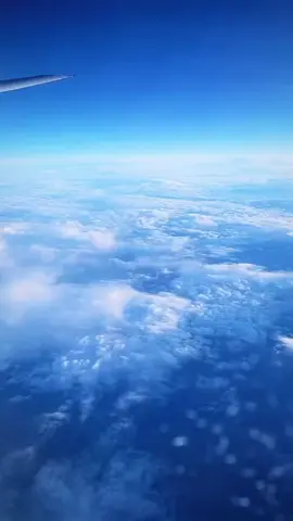 #fyp #trending #viral #pilot #sky 