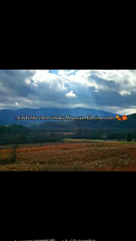 Kinda like them Smoky Mountain fall time trees 🍂🍁 #greatsmokymountains #smokymountains #smokymountainstennessee #fypfall  #fallinthesmokies 