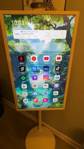 #fyppppppppppppppppppppppp  #foryourpage #tiktokshopfinds 