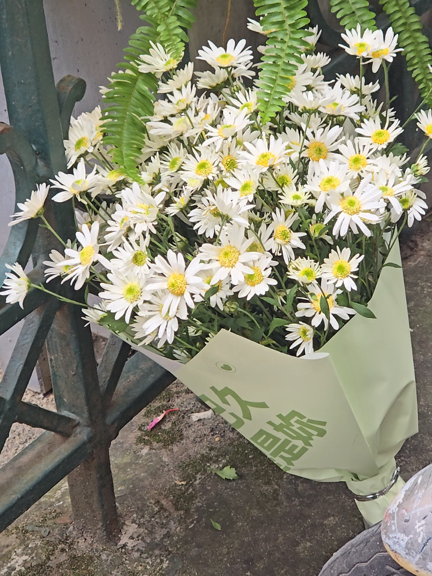 Phố e qua gạch ngói quen tên...  #hanoi #phandinhphung #hanoipho #chilcungforest 