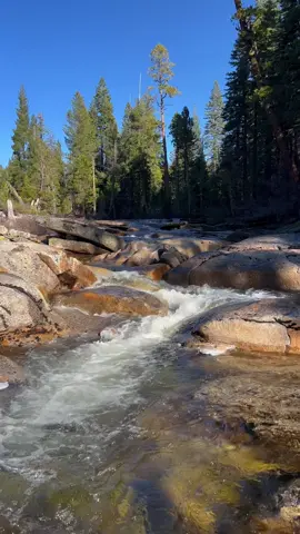 Sierra classic 💦🌲 #sierra #californiatrails #waterfallhike #naturecolors #asmrvideo 