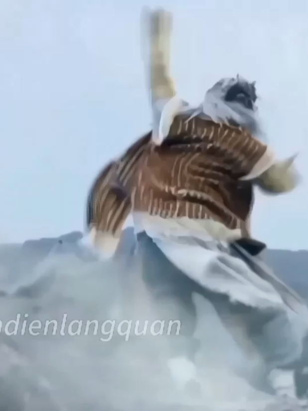 Hàng Long Thập Bát Chưởng xưa và nay  #tiêuphong #quáchtỉnh  #hồngthấtcông #kiếmhiệpkimdung  #hànglongthậpbátchưởng  #phấndiệnlangquân  #xuhuongtiktok#viral 