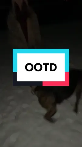 OH YEAHHH😝 It’s REALLY cold outside Iove my sister thank you to her for filming this video @kaylie.lynn1 This dog is cute and I love him but he doesn’t listen AT ALL Anywaysss PEACE OUT GIRL SCOUTS✌️🥹 STAY SWAGGY🤙 I LUV YALL🫶💗 #OOTD #fitcheck #xyzbca #fyp #viral 