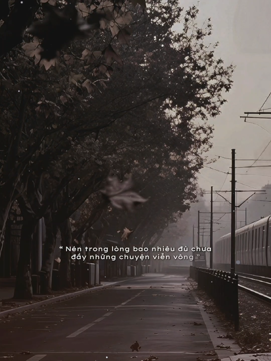 Nỗi buồn tôi bán ai đâu mà mua nỗi đau thừa ai đong #trambuon12 #nghelasuy12 #tamtrang 