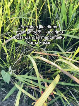 Pergi lah#mesujiperairan💦 #lewatberandatiktok 