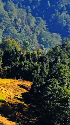 गाउँतिर विवाहको चलपल भइरहेको छ ।