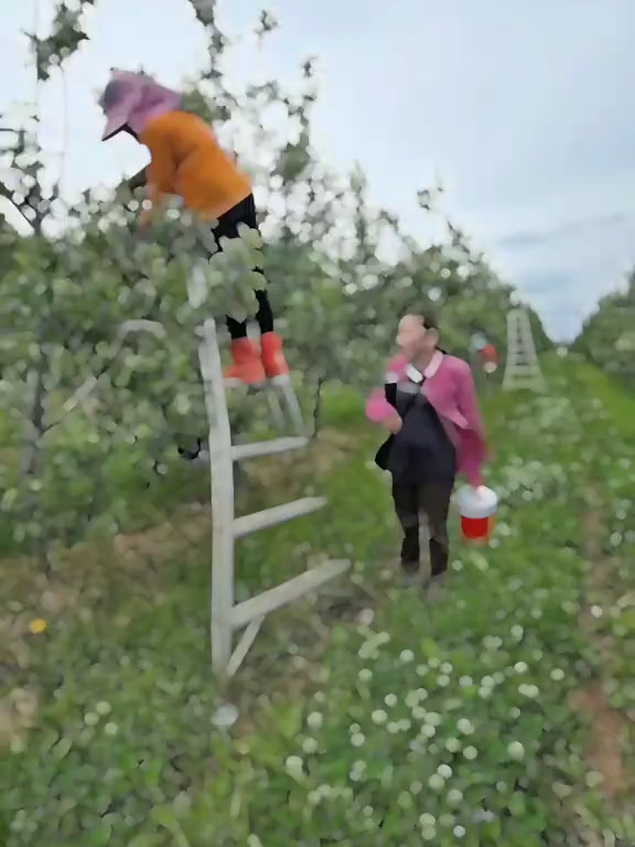 #laođộnghànquốc