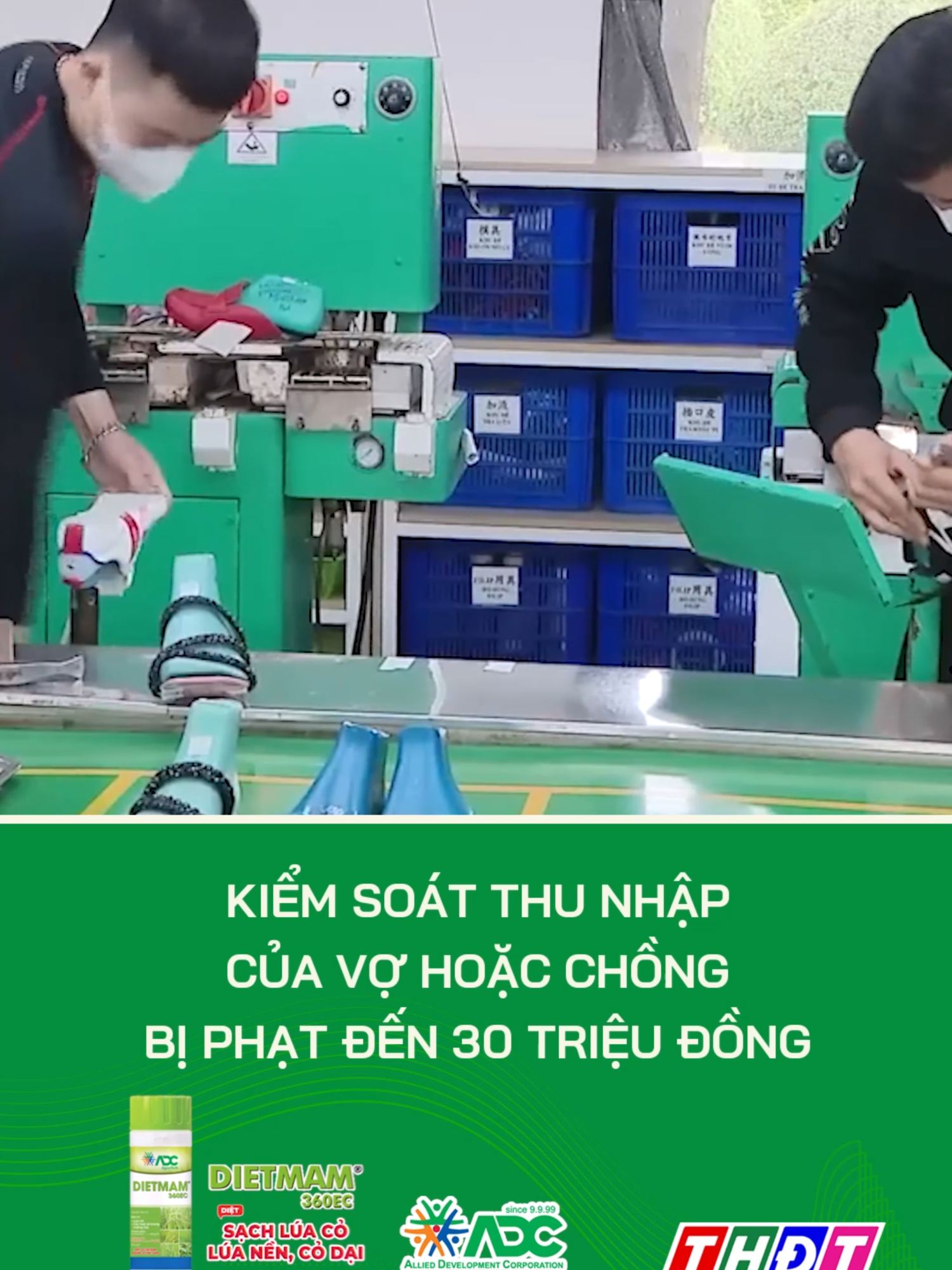 Từ 15/12, kiểm soát thu nhập của vợ hoặc chồng bị phạt đến 30 triệu đồng #dongthaptv #thdt #dongthap #tiktokthdt #truyenhinhdongthap #mcv #tiktoknews
