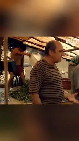 PART 2 👉 @AlurCinema #alurfilm #cuplikanfilm #alurceritafilm #rekomendasifilm #alurcerita 