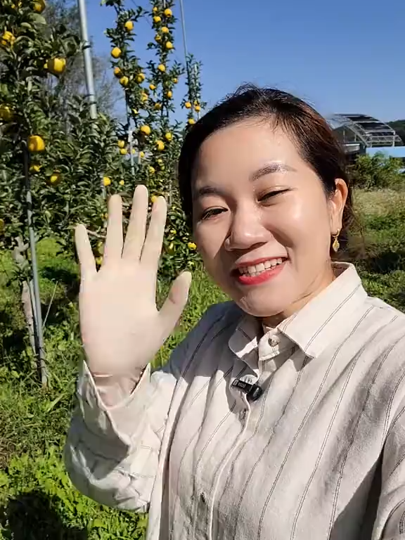 #laođộnghànquốc #laodongphothong