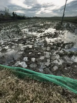 我不知道我的坚持是否会有回报， 但我依然在这里等你…！” “ Anh Không Biết sự kiên trì của anh có được đền đáp không Nhưng a vẫn luôn ở đây đợi em ...!