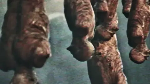 #game #เกม #😍🥰😊 #theforeverwinter #winter Winter