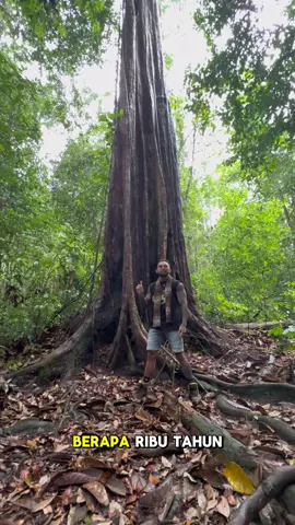 Jaga hutan seperti para dedemit jaga hutan! Jangan biarkan habitat satwa di rusak mending sahabatan sama kunti
