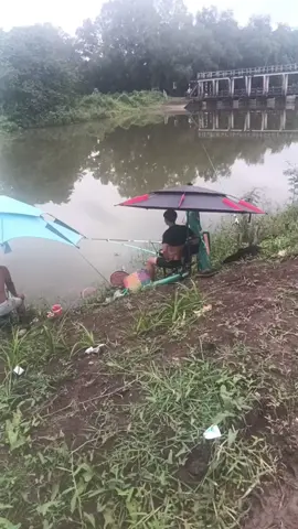 Mới đóng đập đang hót nha ae , đầu trên đong nghẹt, trôi lên liên tục ae tranh thủ, nhớ fl +tym giúp mình nha ae .#cau #caucagiaitri #caucatunhien #caucagiaitri🎣 #xuhuongtiktok2025☘️🍀♥️ 