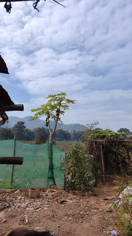 #လားရှိုးမြို့ #CapCut 