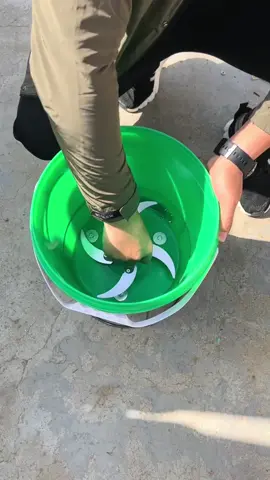 Máy xay đa năng cho chăn nuôi. Chuối, bèo, cỏ gì cũng xay nhuyễn #xuhuong #mayxaythucanchannuoi #mayxaydanang #mayxayraucu #mayxay 