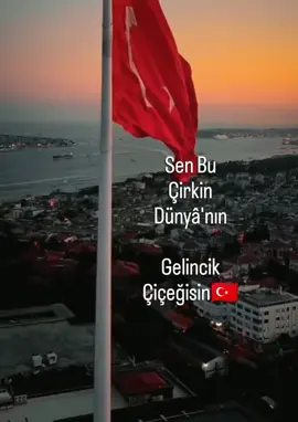 #Türkiye🇹🇷 #🇹🇷🇹🇷🇹🇷🇹🇷🇹🇷🇹🇷🇹🇷❤️ #istanbul🇹🇷 