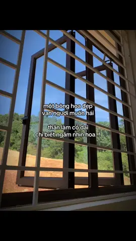 #xh #tamtrang chỉ biết ngắm