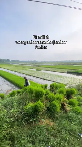 dongane petani muda haha #petaniindonesia🇮🇩🇮🇩🇮🇩🌿🌿 #petanigenz #petanimuda #foryoupage #masukberandafyp 