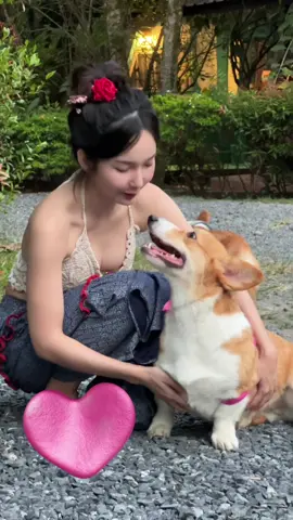 ต้าวขาสั้น😝