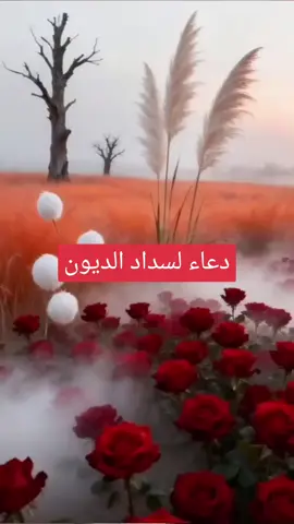 #مقاطع_دينيه #ديننا_الاسلام #المؤمنه_بالله🇱🇾 