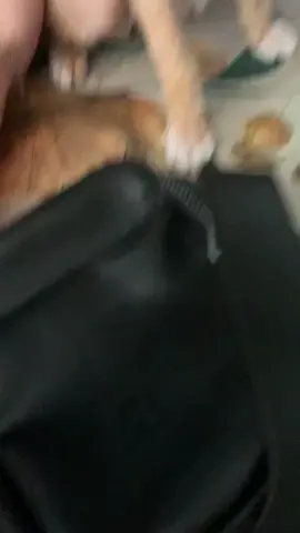 #😂😂😂😂😂