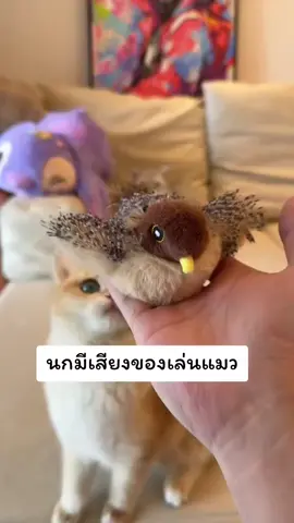 ของเล่นนกน้อยน่ารักเหมือนจริงตัวนี้น่าสนุกมาก! ทั้งแมวและสุนัขต่างก็ชอบเล่นกันFZJJN