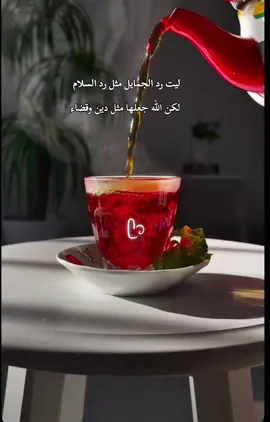 #اكسبلورexplore .......ᥫ᭡