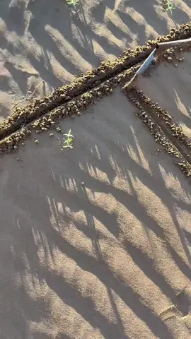 #cuocsong #boy #xuhuongtiktok 