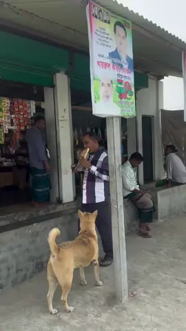 Roti nya Lenyap Dimakan Anjing
