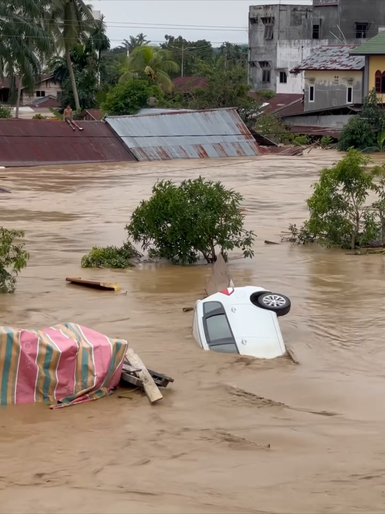 BEGINI KONDISI BANJIR DI ACEH TAMIANG HARI INI BANYAK BANGUNAN RUMAH DAN MOBIL TERBAWA ARUS BANJIR BANDANG #aceh #acehtamiang #sibolga #tapteng #banjirbandang 