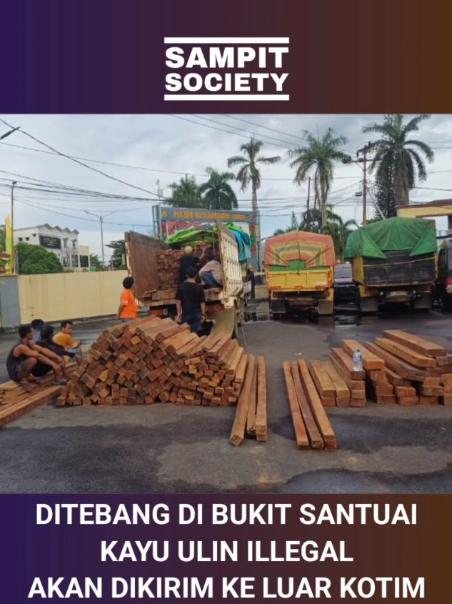 UPAYA PENYELUNDUPAN KAYU DIDUGA HASIL PEMBALAKAN LIAR, DIGAGALKAN @polreskotimsampit . PETUGAS MENGAMANKAN TIGA TRUK BERISI RIBUAN BATANG KAYU ULIN OLAHAN TANPA DOKUMEN RESMI. #sampit #illegal #kayu 