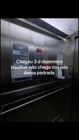 Heather #heather #dezembro #3dedezembro #kingforaday 