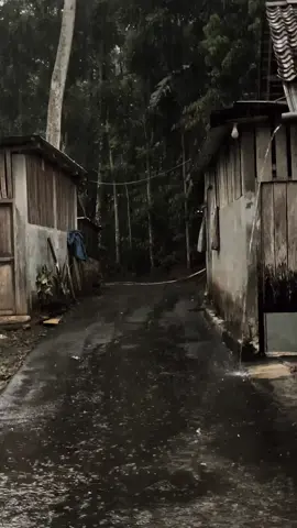 #CapCut #شاشة_سوداء #شعب_الصيني_ماله_حل #امواتنا_الراحلون_💔🥺 #احمدالوائلي_رحمه_الله 