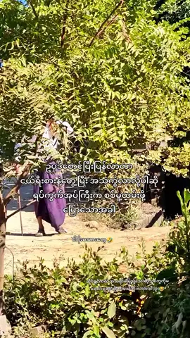 #သောက်တဲ့သူကသောက်မှာဘဲ🤣 #စာသားcrd #views #ငါ့viewတွေဘယ်ရောက်သွားတာလဲ #fyppppppppppppppppppppppp 