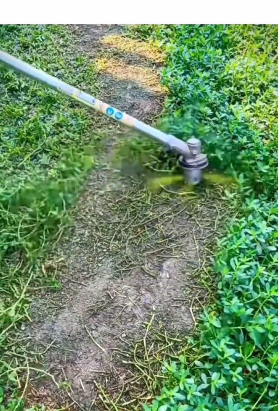 Bát cước cắt cỏ dây cước an toàn #xuhuong #dodungtienich 