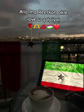 #CapCut love u qalpiyal💋💋🌹#somalilandtiktok💚🤍#❤ #foryou #team27 @🌷MARIA🌷 