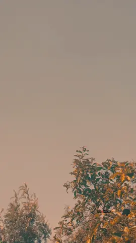 #fyp #የእናንተገፅ #quotes 