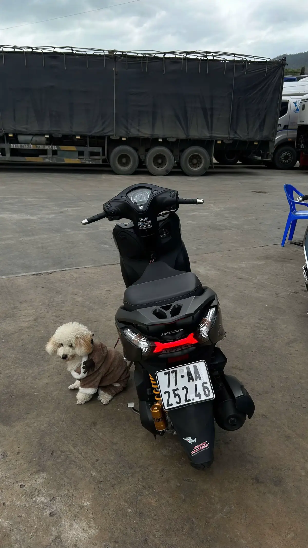 #xh #xhtiktok #scootervietnam🇻🇳 #leader #vespa 