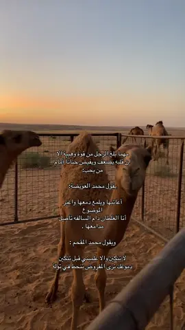 #hail #fyp #foryou #fypツ #explore 