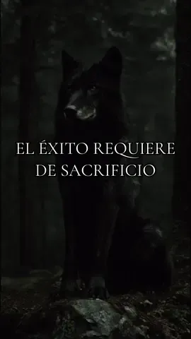 pena exige sacrificio, disciplina y carácter. 🖤🐺 Success isn’t free. Everything great demands sacrifice and strength. . . . #motivacion  #success  #viral2025  #lifelessons  #lobonegro