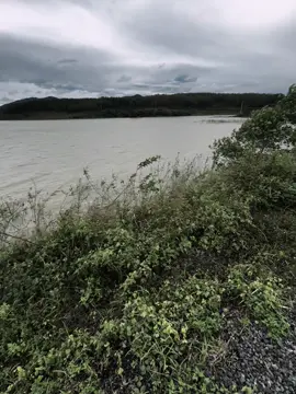 “不是每个笑容都代表快乐, 有时只是掩藏了伤感。” “Không phải nụ cười nào cũng là niềm vui, đôi khi nó chỉ là cách giấu đi nỗi buồn…” #xh #tamtrang #fyp #cap #chill 